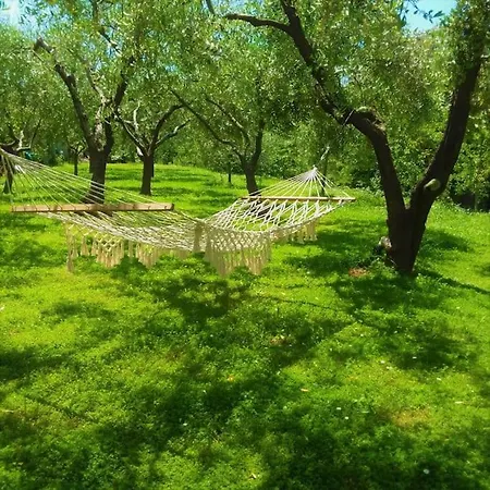 Gli Ulivi Holiday home Santo Stefano di Magra